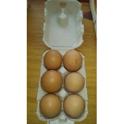 OEUFS BIO FERMIERS x6