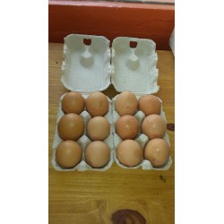 OEUFS BIO FERMIERS x12